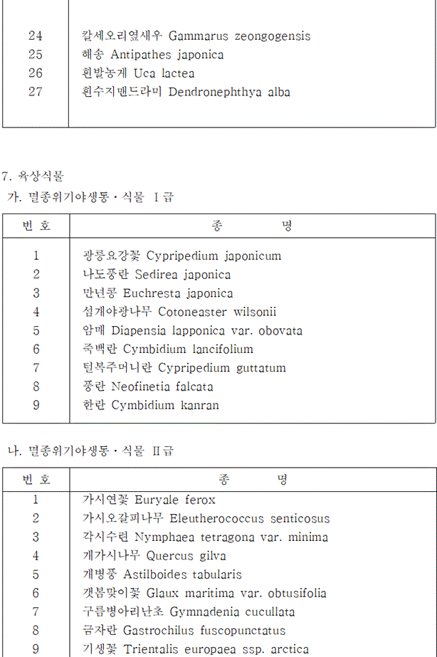 법령별표 본문이미지