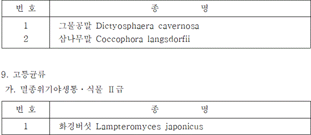 법령별표 본문이미지