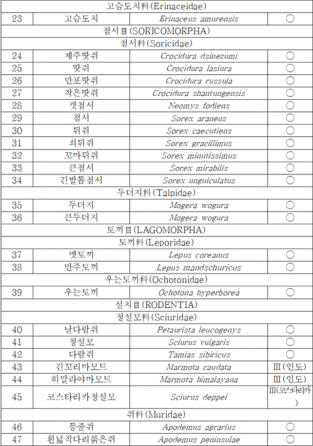 법령별표 본문이미지