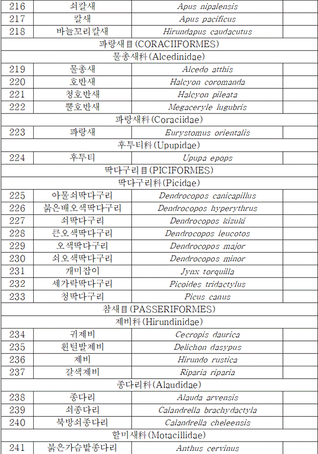 법령별표 본문이미지