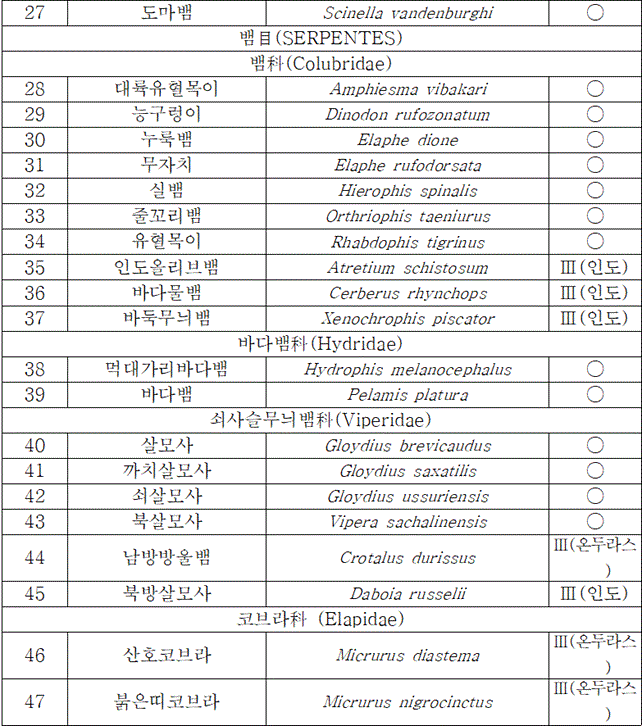 법령별표 본문이미지